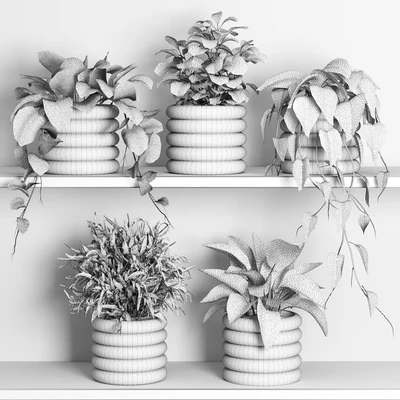 plants on shelf 06 — Вид 2