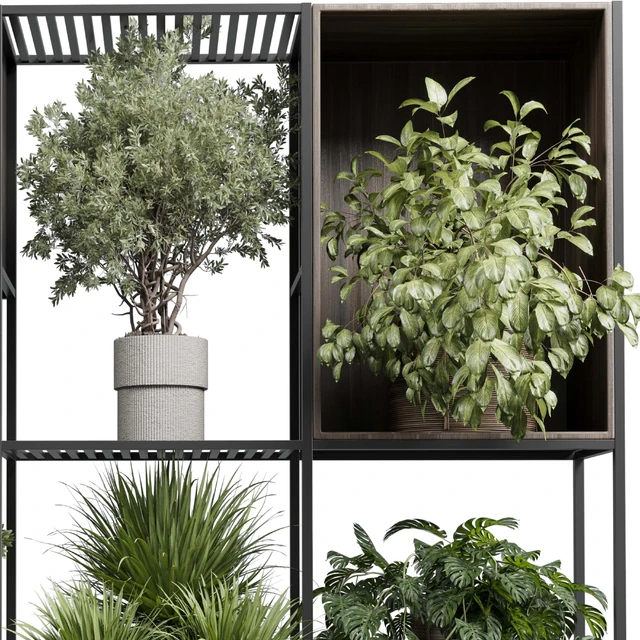 Standing metal shelf with a set of plants in wooden and metal boxes 419 — Скачать