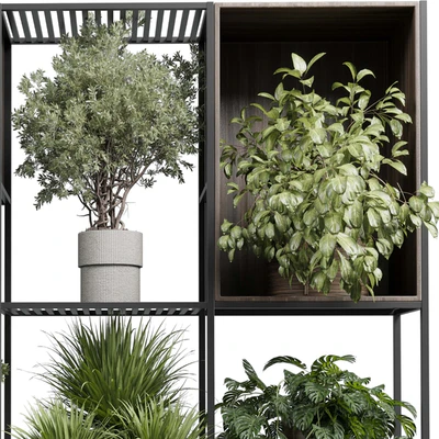 Standing metal shelf with a set of plants in wooden and metal boxes 419 — Вид 5