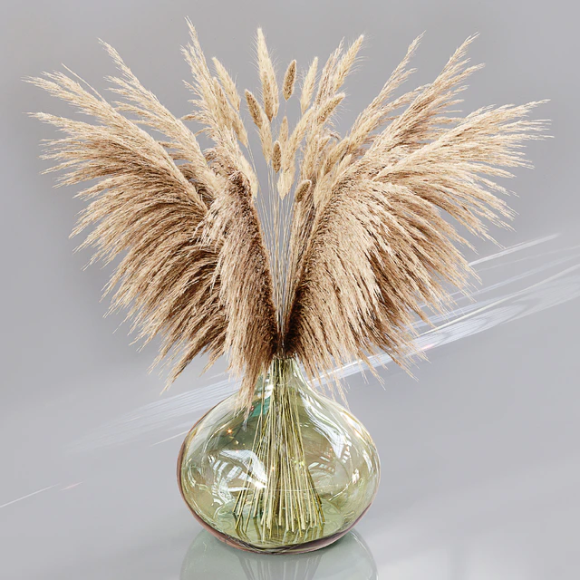 Luxury pampas grass — Descargar