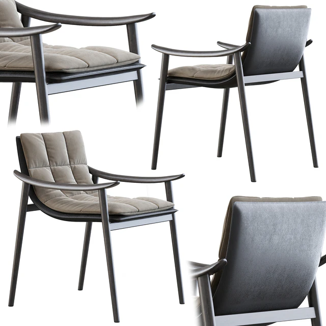 Minotti fynn chair — Descargar