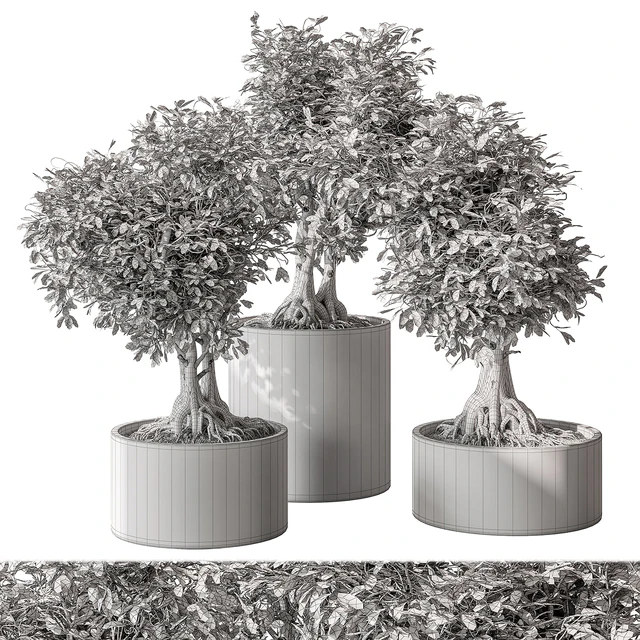 indoor Plant Set 440 - Bonsai — Скачать