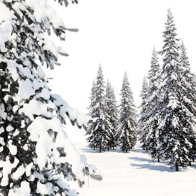 Winter Norway Spruce 02 — Ver 4