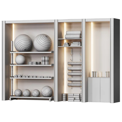 A wall with a rack for gym equipment — Ver 4