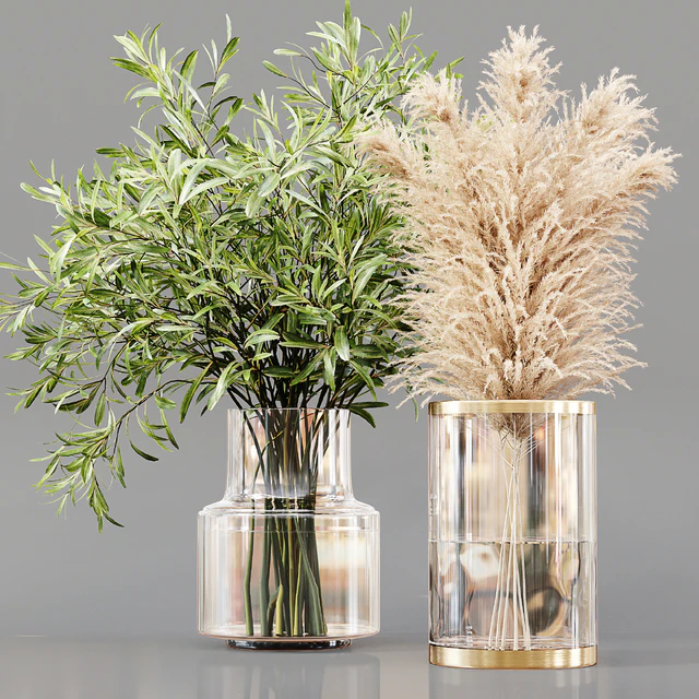 Collection Indoor Plants 02 — Download