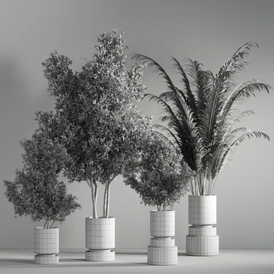 indoor plant set 14 — Вид 4