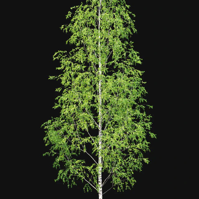 Birch — Скачать