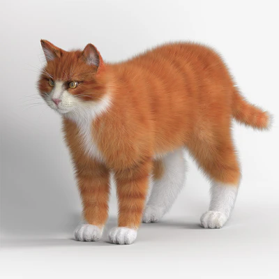 Red Cat — Descargar