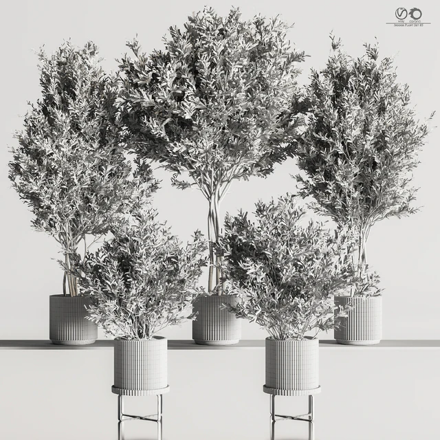 Indoor Plant Set 85 — Descargar
