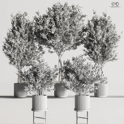 Indoor Plant Set 85 — Ver 4