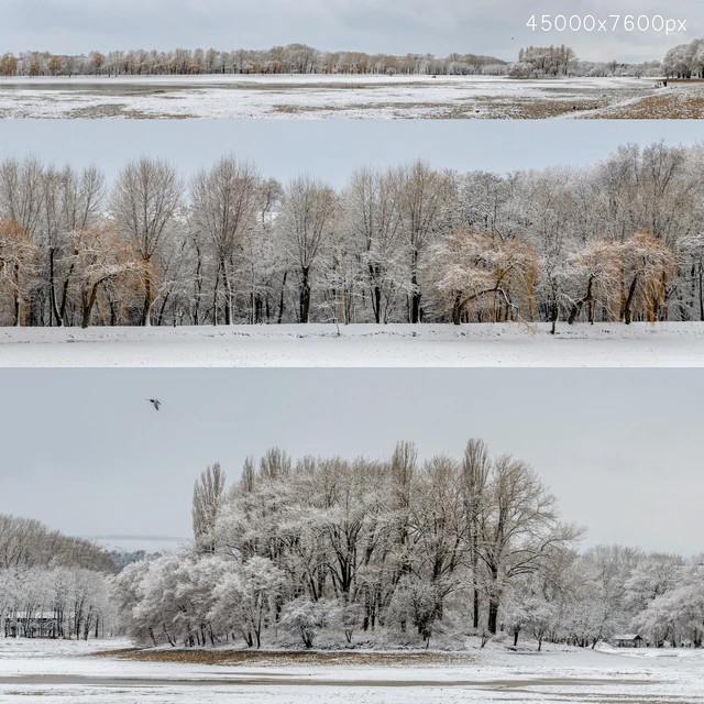 Panorama of the park with a lake and snow-covered trees. 45k — Download