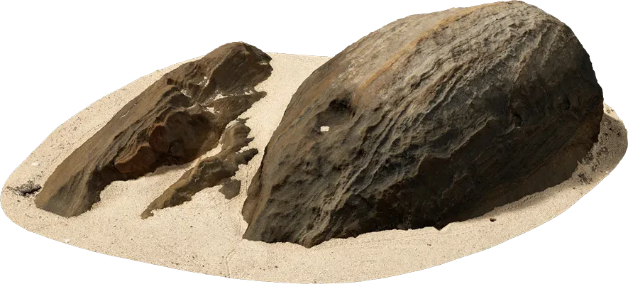 beach boulder 016 — Descargar
