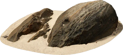 beach boulder 016 — Descargar
