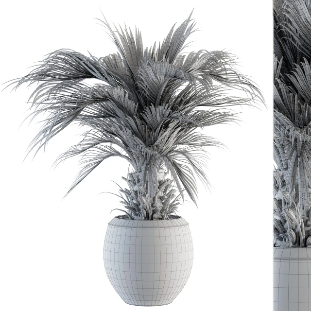 indoor Plant Set 133 - Palm Plant in Pot — Скачать