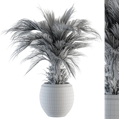 indoor Plant Set 133 - Palm Plant in Pot — Вид 3