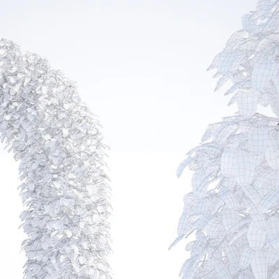 Beech european arch | Fagus sylvatica arc — Ver 3
