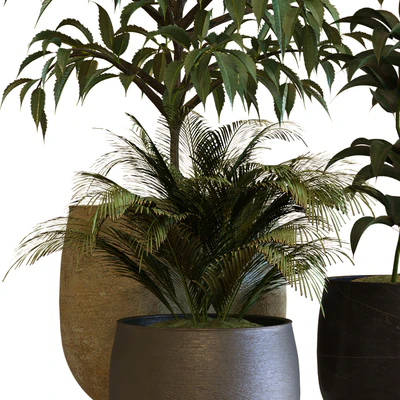 plant in box set 040 — Вид 4