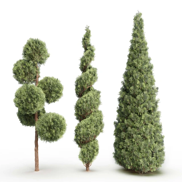 Thuja # 1 (Thuja # 1) — Descargar