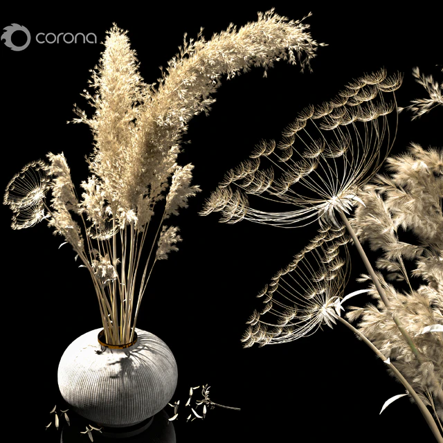 dried flowers — Descargar