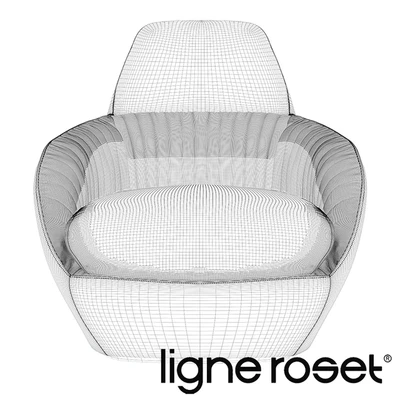 Ligne Roset Amedee armchair — Вид 2