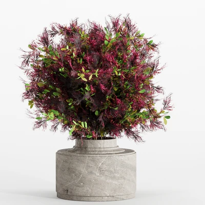 bouquet 7 — Ver 1