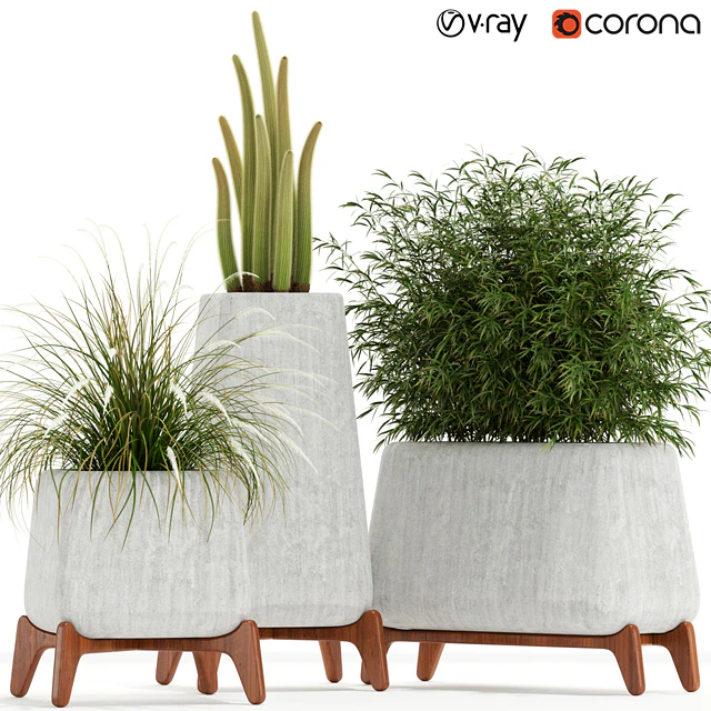 Plants collection 128 indigenus terra — Descargar