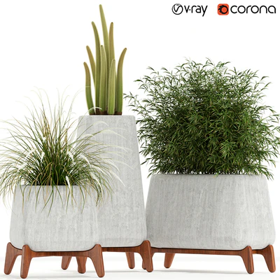 Plants collection 128 indigenus terra — Ver 1