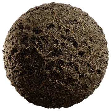grass dried 034 — Скачать