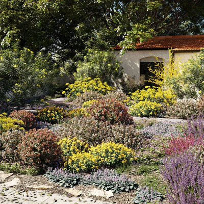 plant models vol 051 — Descargar