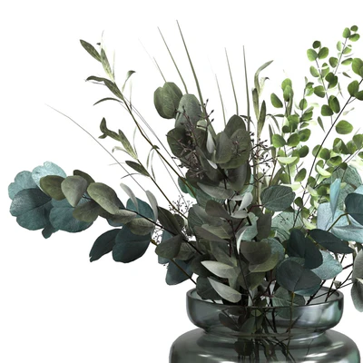 Bouquet of green eucalyptus, olive and herbs — Ver 2