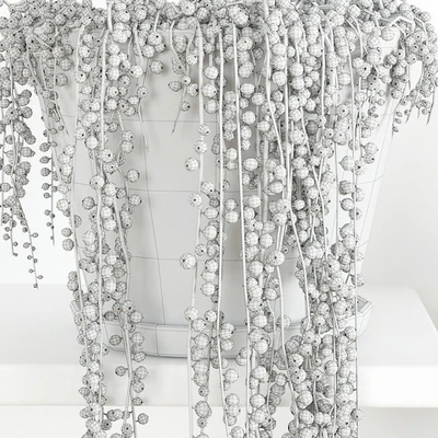 String Of Pearls Plant 2 — Ver 2