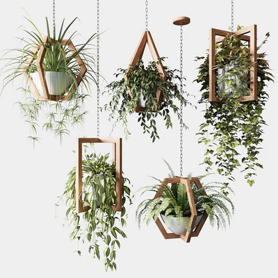 Ampelous plants in wooden figured hanging pots — Ver 1