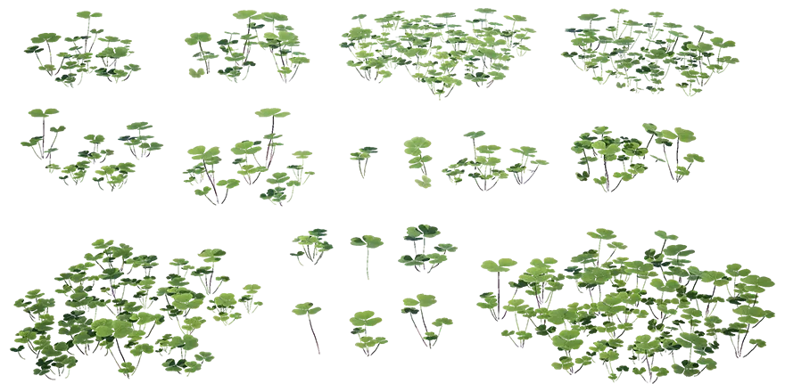 wood sorrel 001 — Descargar