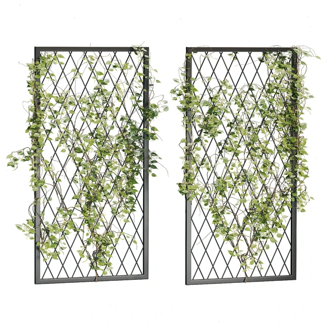 Ivy Plants 04 — Скачать