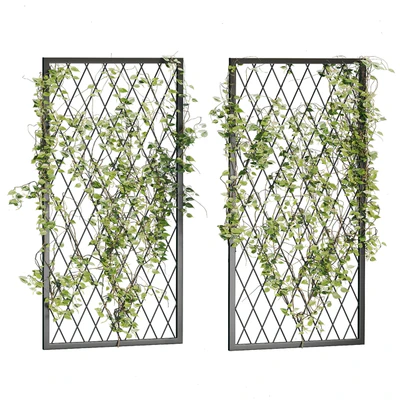 Ivy Plants 04 — Вид 4