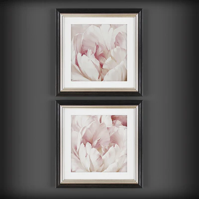 Pictures375 — Ver 1