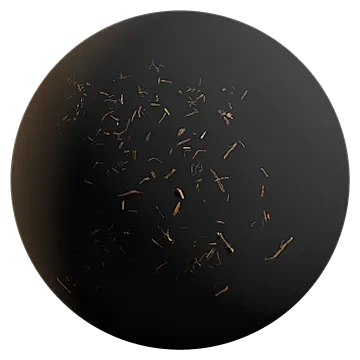 scattered bark 005 — Descargar