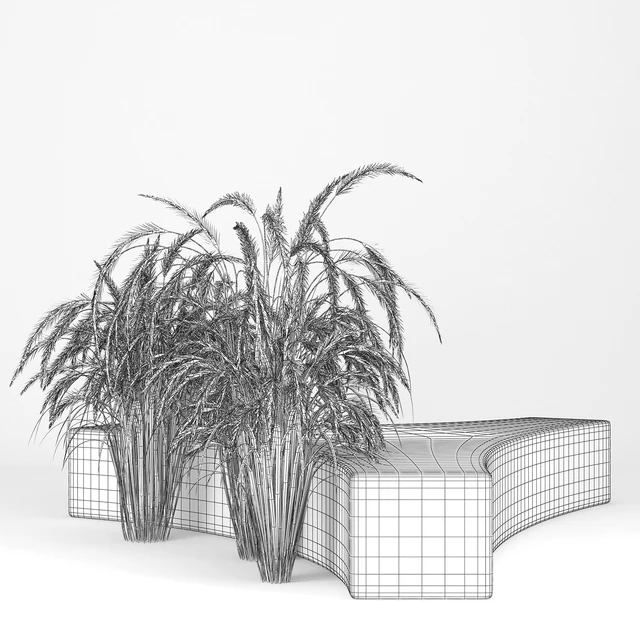 Folia bench Graceful Fountain Grass — Descargar