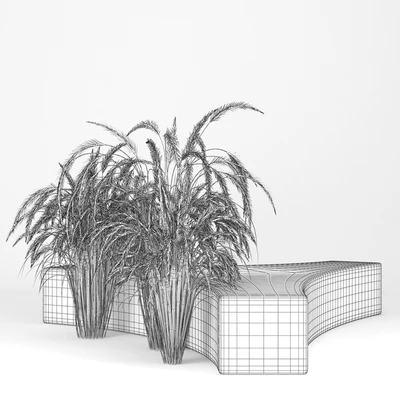 Folia bench Graceful Fountain Grass — Ver 3