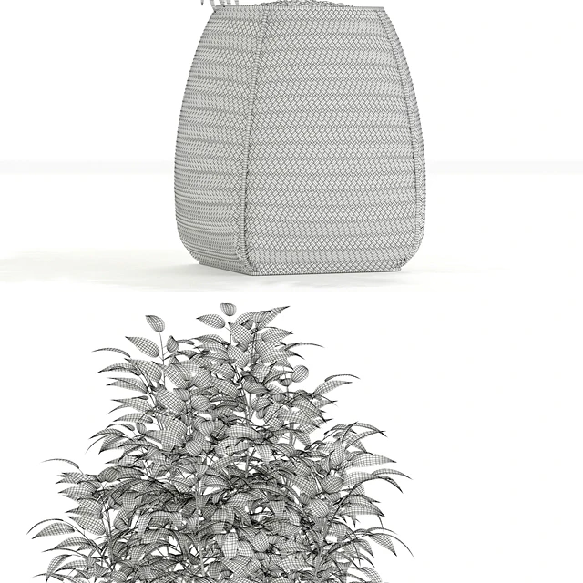 Plants collection 126 — Descargar