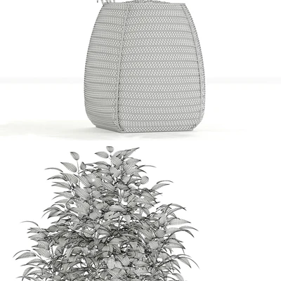 Plants collection 126 — Ver 3