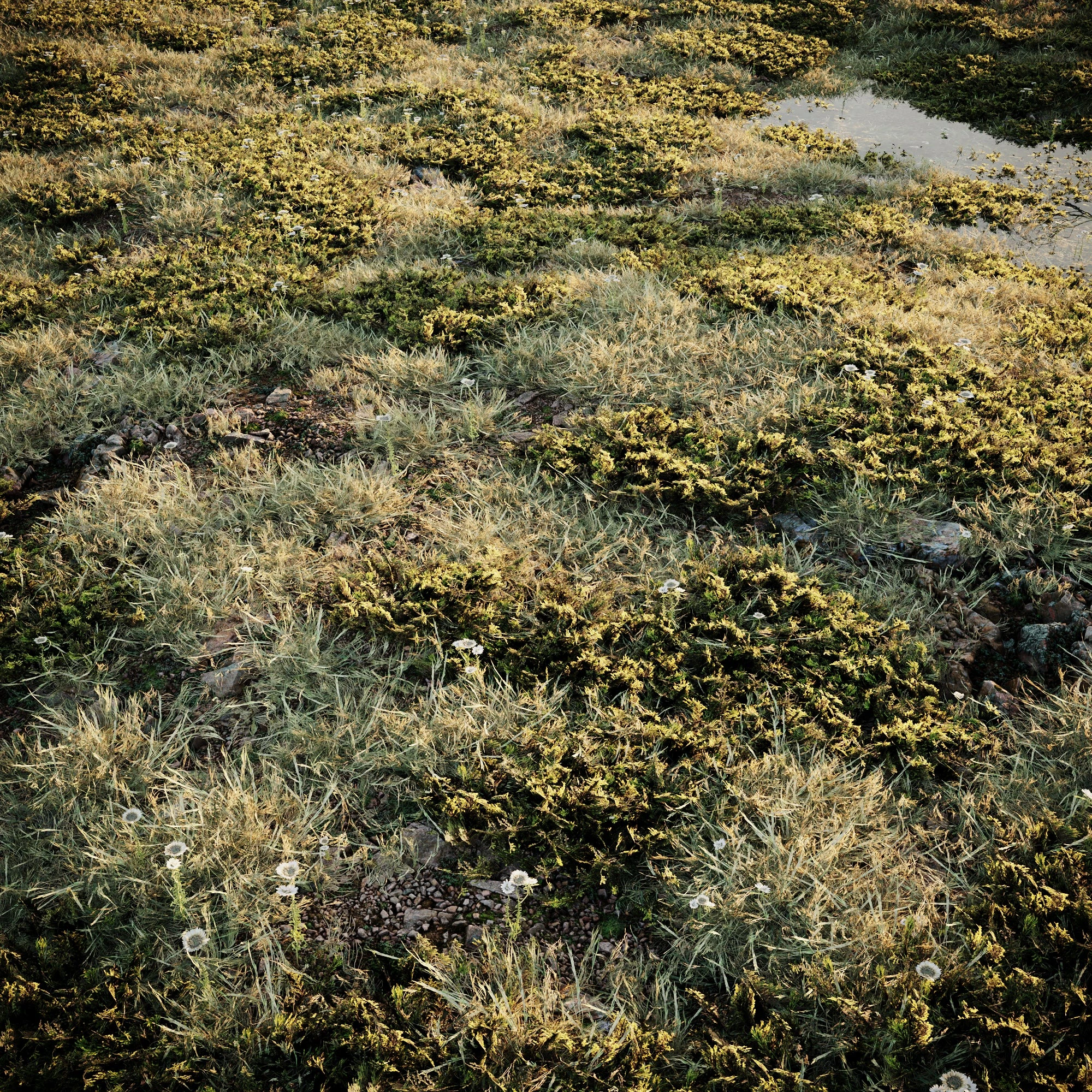 grass 001 — Скачать