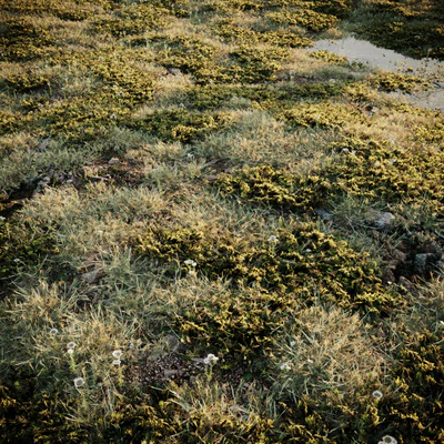 grass 001 — Скачать