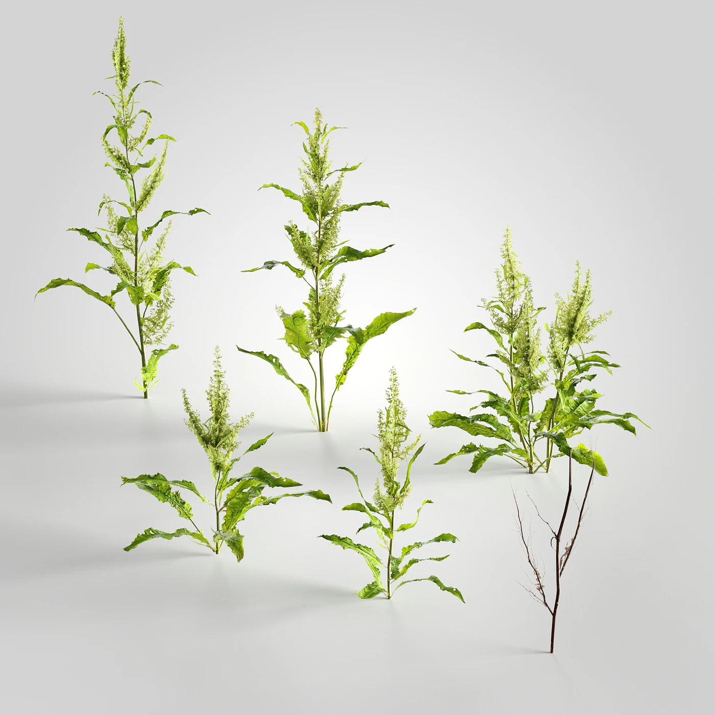 low poly plants 005 — Descargar