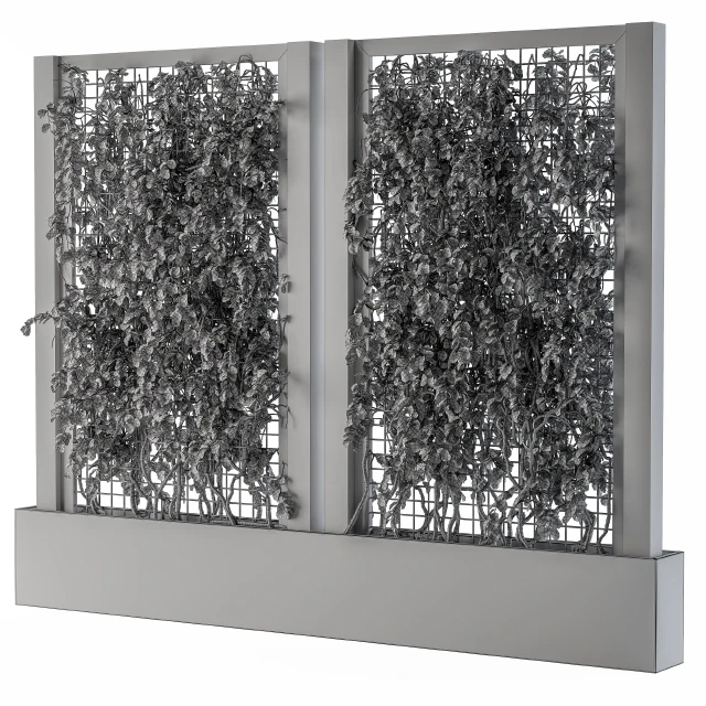 ivy Box Plants Gray — Descargar