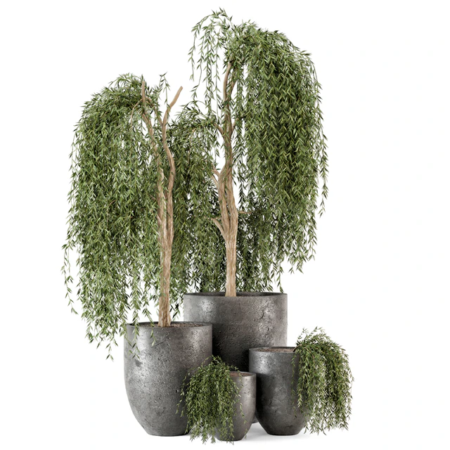Outdoor Plants bush and Tree in rusty Dark Concrete Pot - Set 52 — Descargar