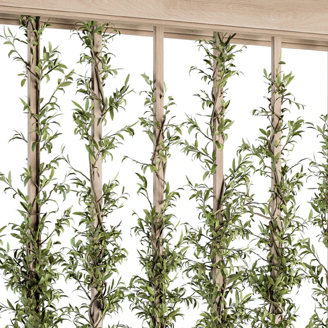 Vertical Garden Wood Frame - Plants Partition 22 — Скачать