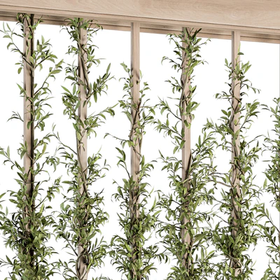 Vertical Garden Wood Frame - Plants Partition 22 — Вид 3