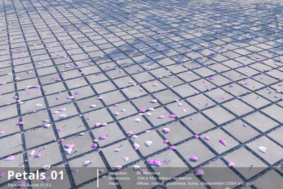 petals 001 — download