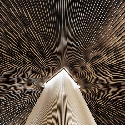 Parametric radial hall n1 / Parametric radial hall n1 — Ver 3